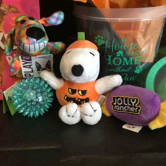Halloween Boo Bucket for a small Dog - Picture 3 of 7